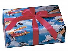Biplanes Wrapping Paper