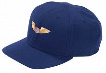 Air Force Gold Wings Cap (Navy)