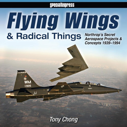 Flying Wings Book