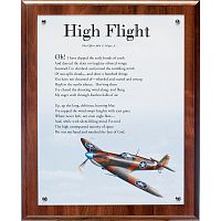 Aviation Theme Signs