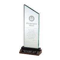 Instrument Pilot Recognition Trophy